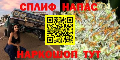 шишки Тула