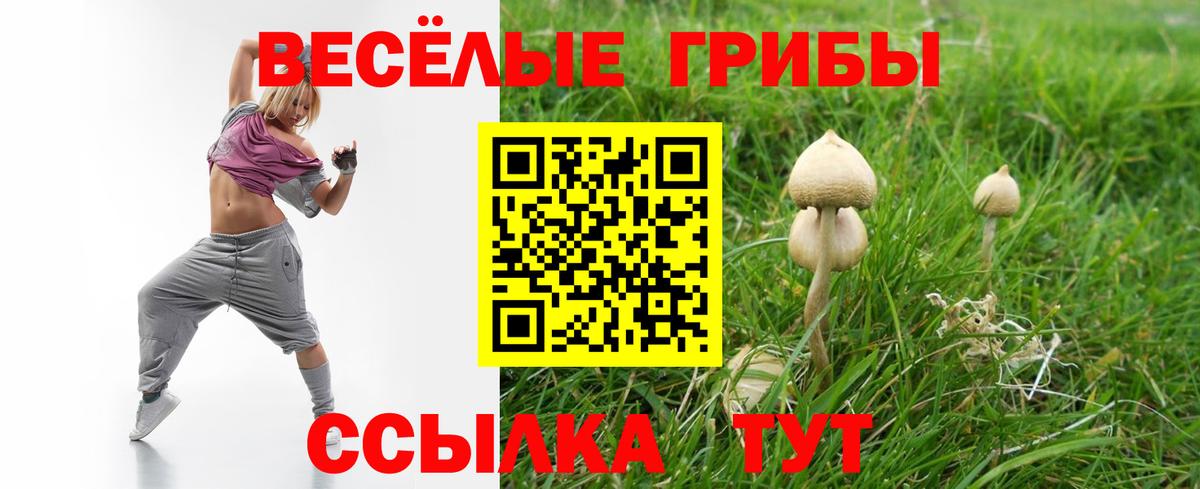 где купить   Вход с VPN  Псилоцибиновые грибы Cubensis  Москва  Псилоцибиновые грибы мухоморы 